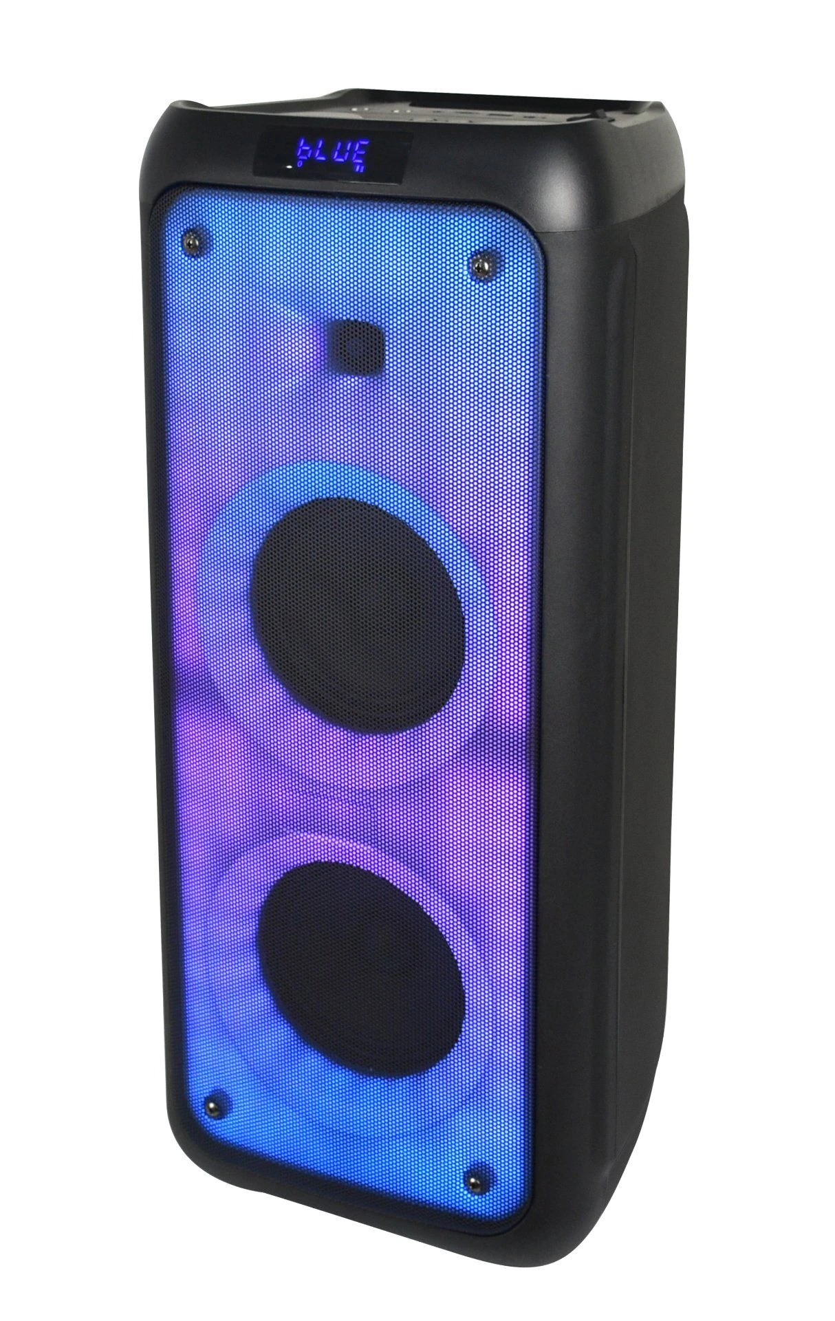 Latest Private Dual 5.5 Inch DJ Sound Portable Wireless Bluetooth Tws Partybox 100 Speaker with Fire Flame Light