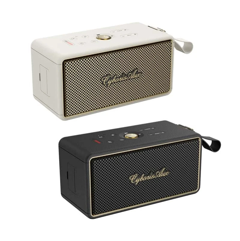 Lightweight USB Playback 60W Home Speaker with Ipx5 for Gift