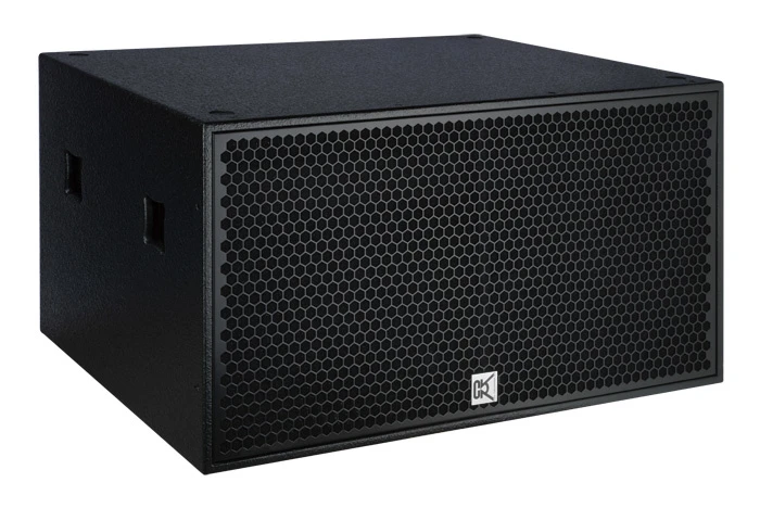 Live Sound Dual 18 Inch Subwoofer