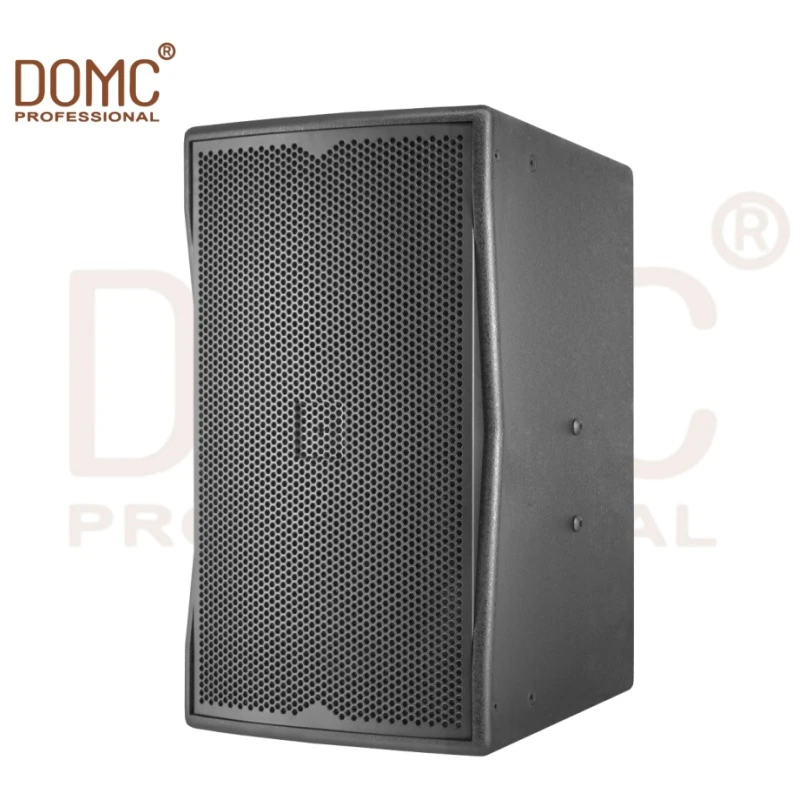 Loud and Clear 10-Inch Speaker for Events and Performances