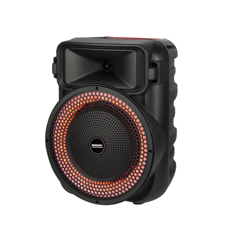 Lowest Price 8-Inch Sound Portable Trolley Speaker for Karaoke System Party Speakers
