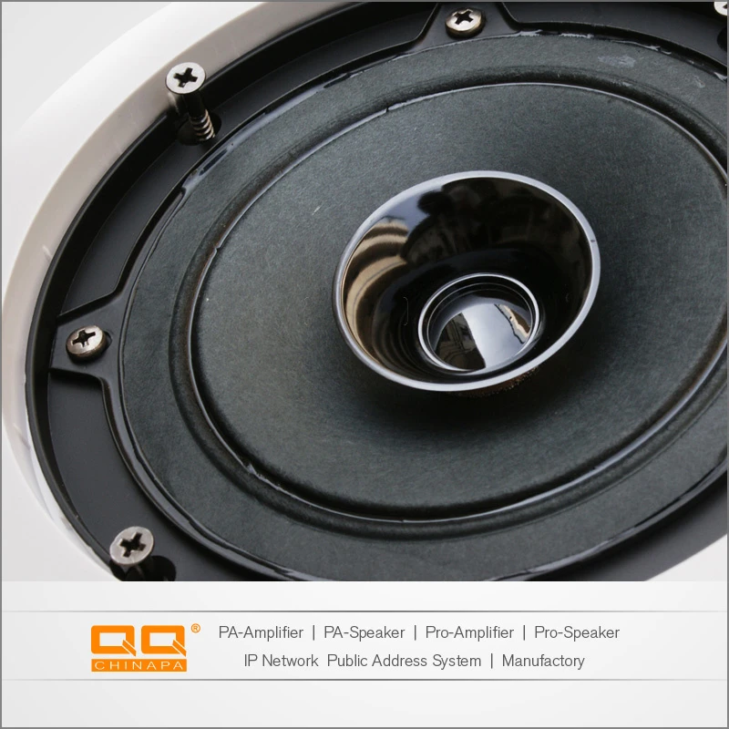 Lth-8315ts Newest in Ceiling Speaker Made in Guangzhou