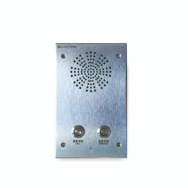 Lucky Tone Professional 2 Button Version SIP Terminal with Built-in Amplifier for Indoor Sound