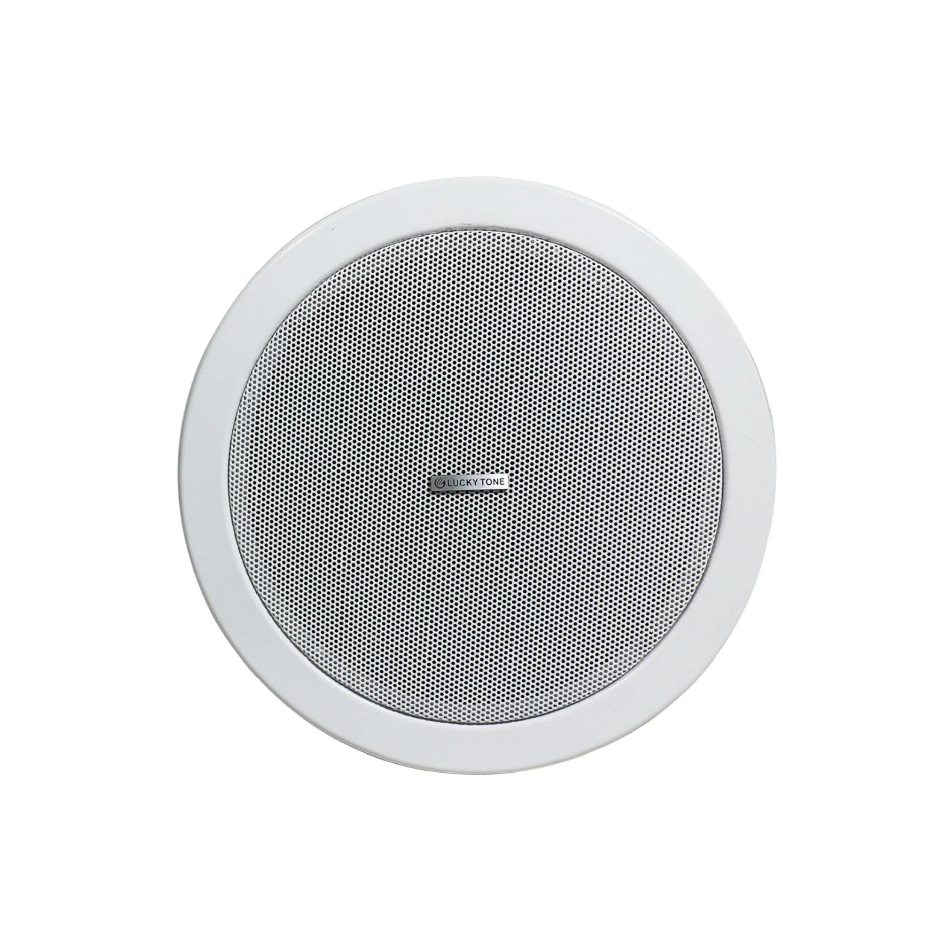 Lucky Tone SIP Network 15W PA Ceiling Speaker with 24V DC Power Supply and Digital Amplifier