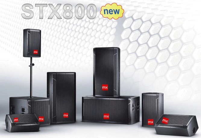 Max Professional Speaker System (STX800)