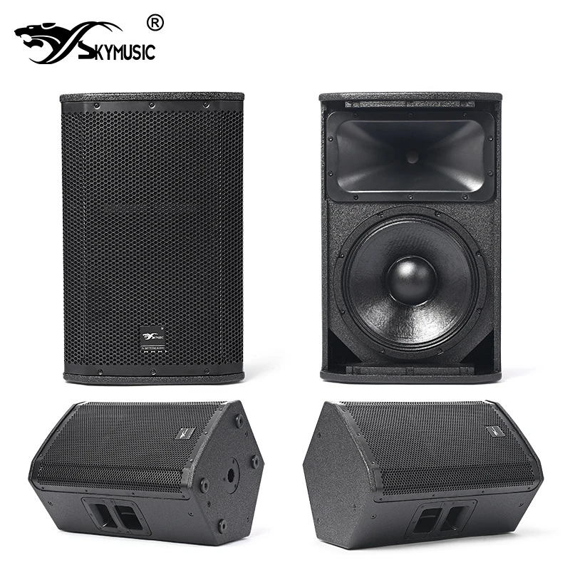 Multi-Purpose Active 12 Inch Stage Monitor USB Bluetooth DSP Full Range Speaker