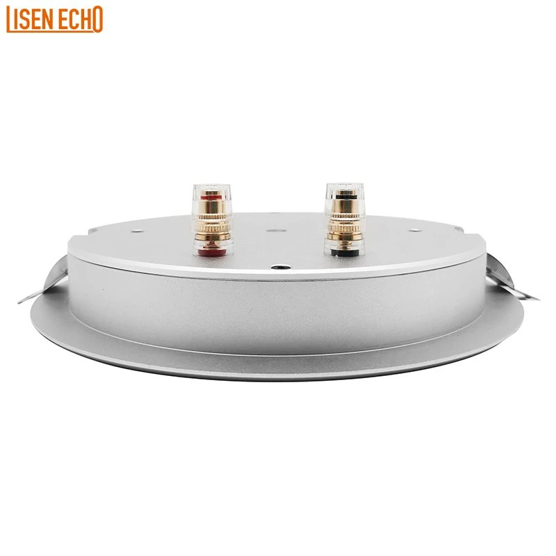 Museum and Exhibition Focused Beams Spotlight Sound Directional Speaker System
