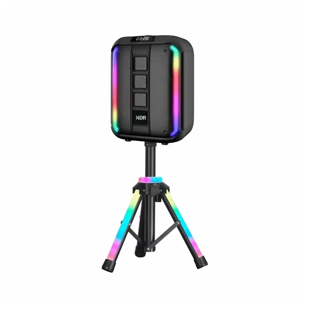 Ndr-102A 12 Inch 40W LED Lights Party Speaker