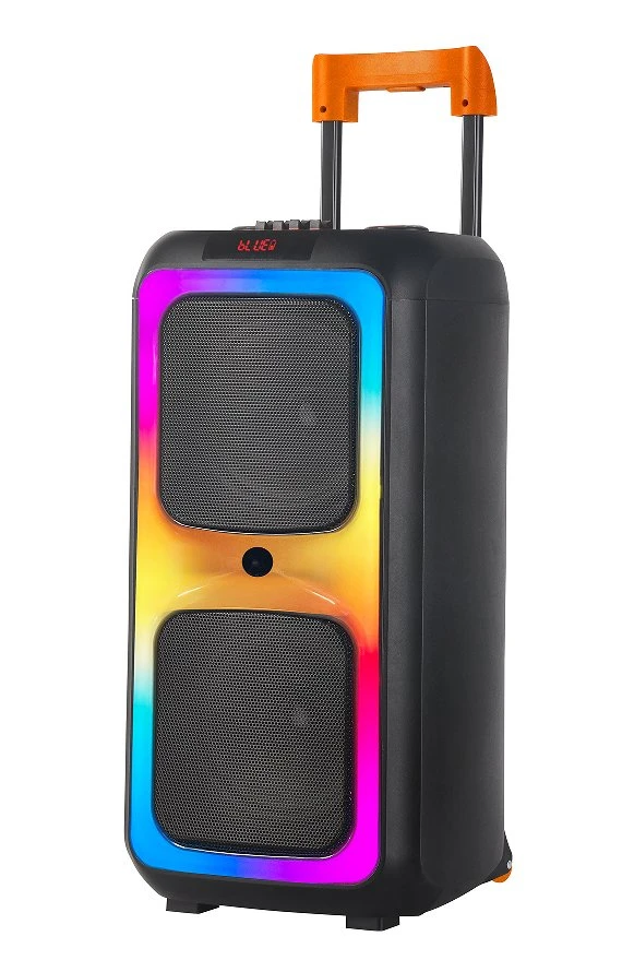 Ndr-1097 Dual 8 Inch FM Audio Bluetooth DJ a-Like Portable Partybox Speaker