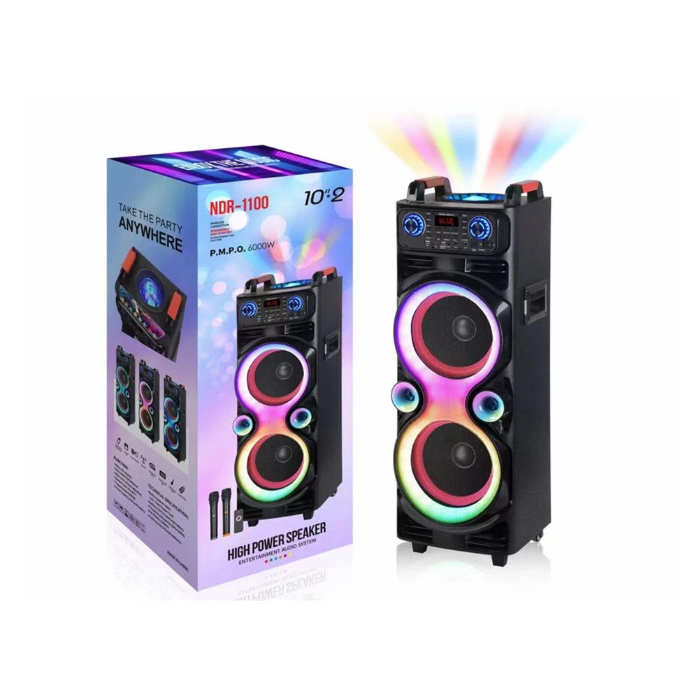 Ndr-1100 Dual 10-Inch Party Speaker with Built-in Batterie