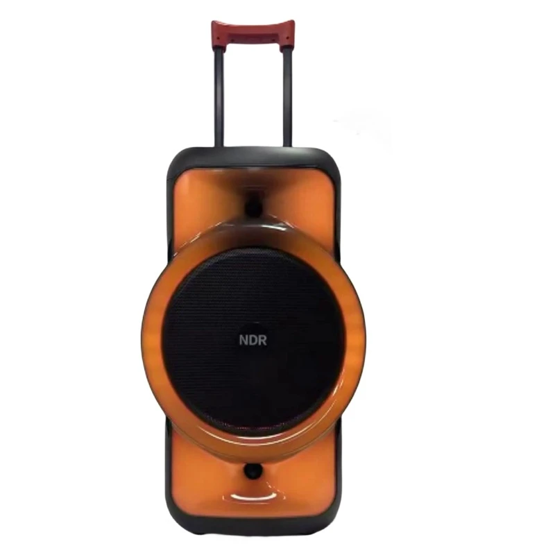 Ndr 12″HiFi Trolly Karaoke Portable Professional Bluetooth Speaker with Wireless Microphone