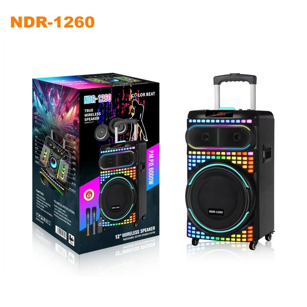 Ndr-1260 Single 12 Inch Wood-Plastic Bluetooth Party Speaker Guangzhou Factory OEM