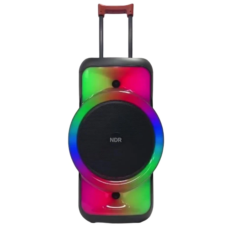 Ndr-128 12 Inch Active Built in Amplifier Bt Powered Tower Speaker