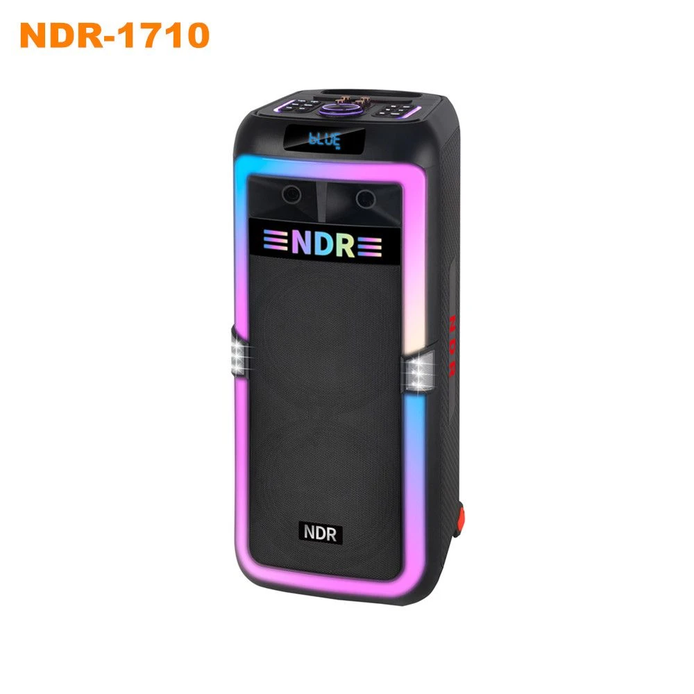 Ndr-1710 Dual 10-Inch 100W High Power Bluetooth Party Speaker Built-in Battery