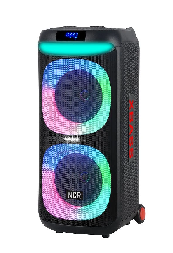 Ndr-1908 Party Speaker Dual 8inch with Wireless Microphone and Tws Functions