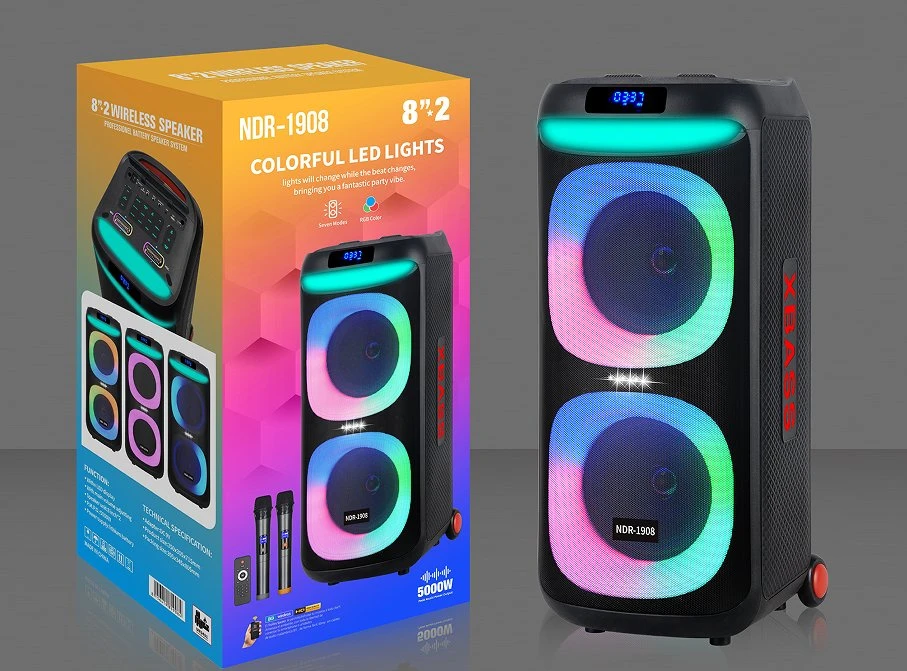 Ndr-1908 Portable Dual 8inch Speaker for Outdoor Parties and Gatherings