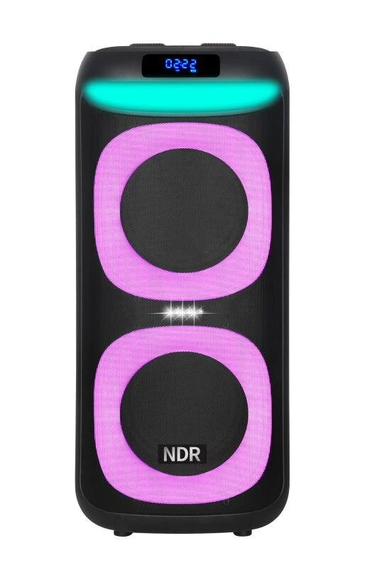 Ndr-1908double 12 Inch Bt Portable Trolley Speaker Party Speaker with Remote USB Function LED Lighting