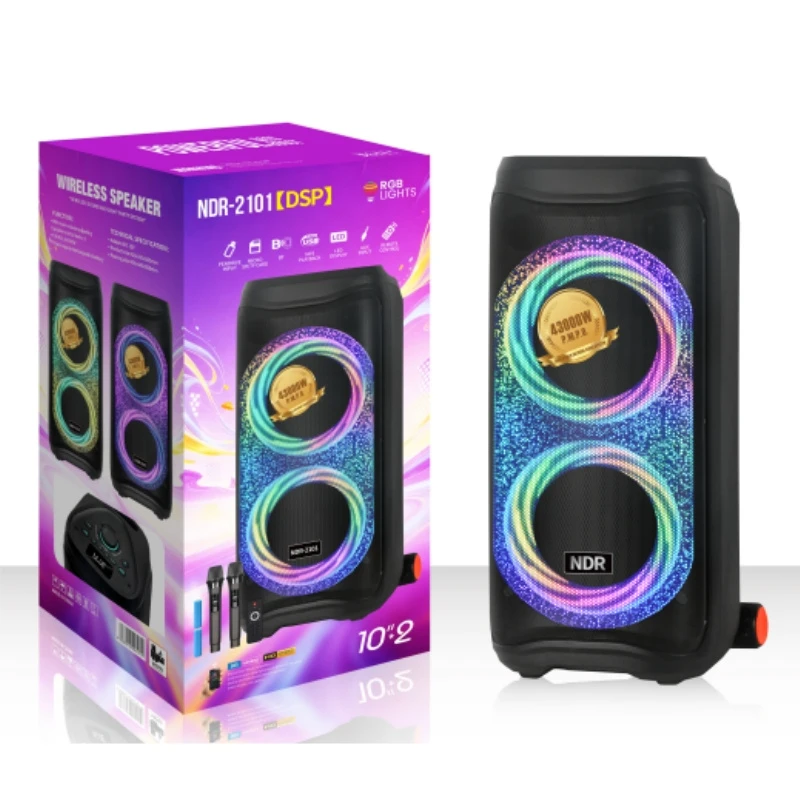 Ndr-2101 PRO Party Speaker Dual 10 Inch Portable Trolley Wireless Bluetooth DJ Karaoke Party Speaker with LED Light