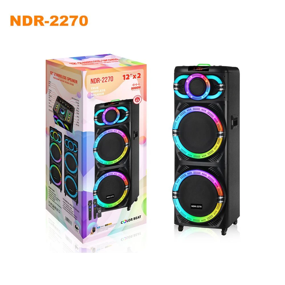 Ndr-2270 Dual 12 ” Party Bluetooth Speaker with Dual Microphone, Built-in Battery
