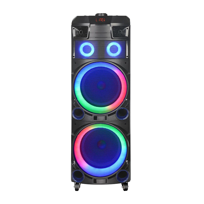 Ndr-7022 100W Dual 12-Inch High Power Outdoor Speaker with LED Light Wireless Microphone