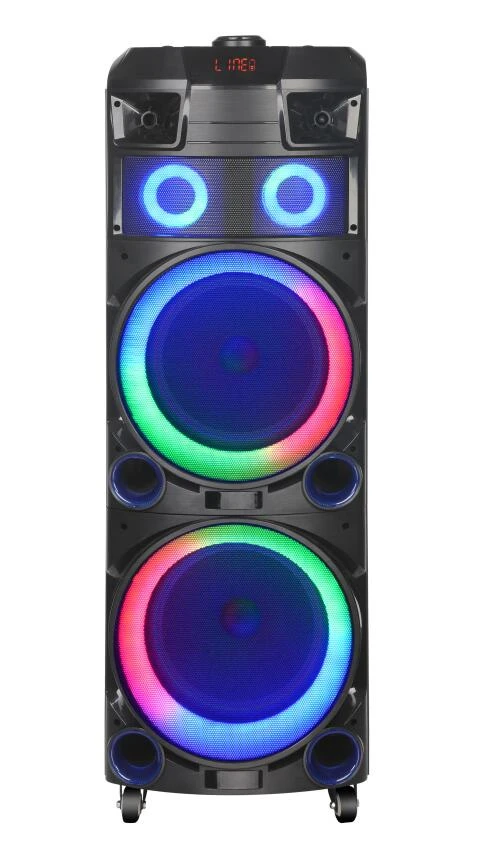 Ndr-7022 Double 12 “100W High Power Wooden Box Performance Party Speaker
