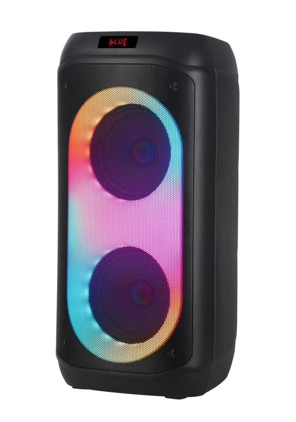 Ndr-810 Dual 8inch Bluetooth Party Box with Fame Light Big Power OEM Speaker