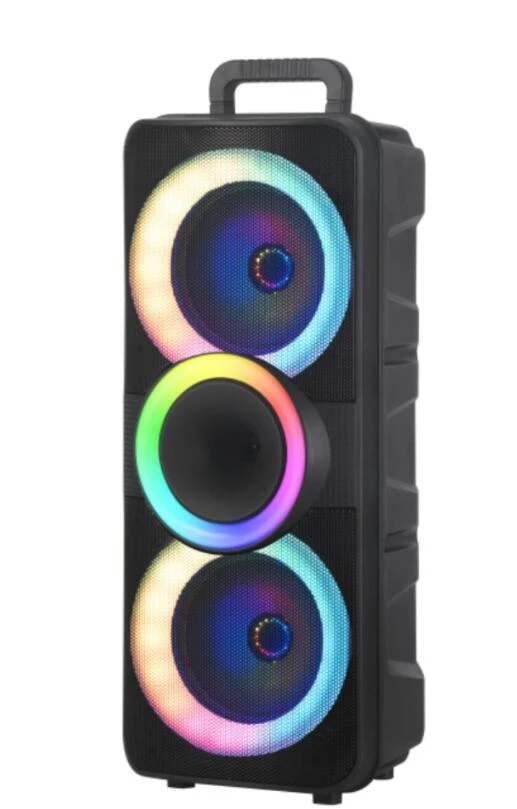 Ndr-F98 Big Power Dual 10inch Plastic Party Speaker Box Speaker