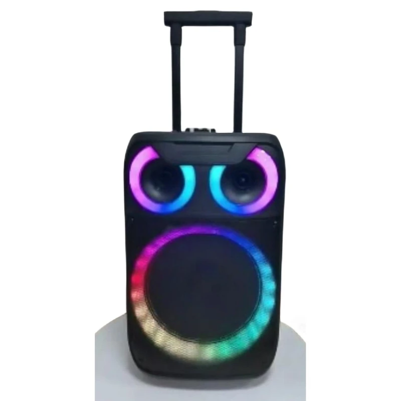Ndr Hot-Selling Portable 12 Inch Bt Speaker with Wireless Mic Excellent Sound Quality