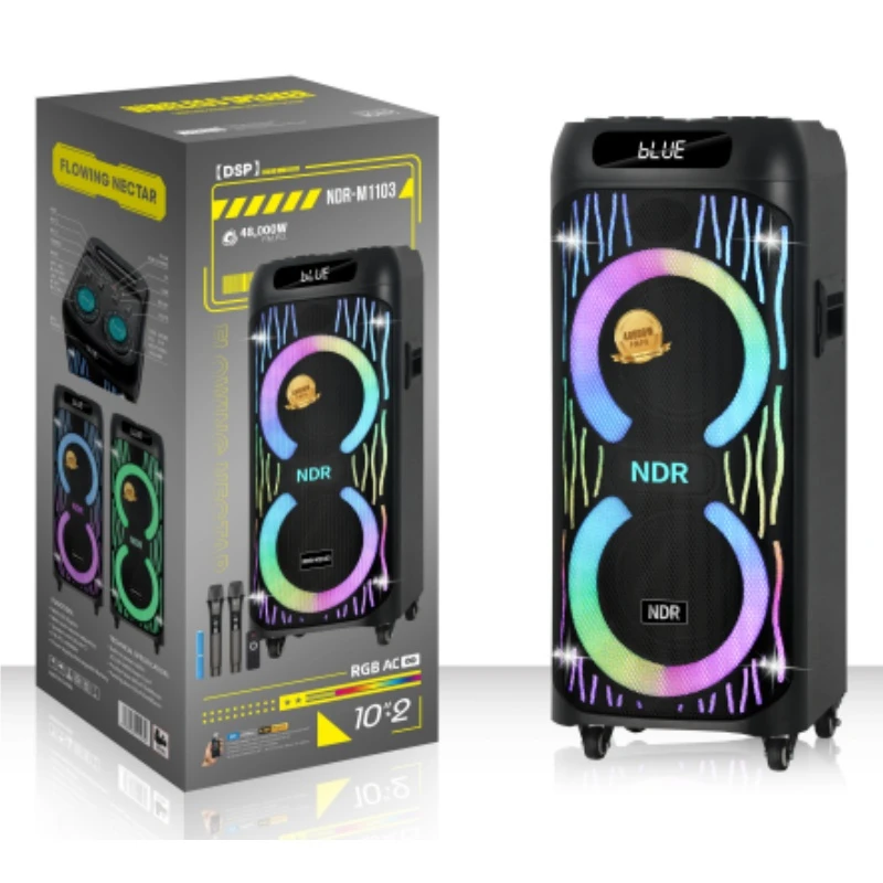 Ndr-M1103 Wholesale Dual 10 Inch Wireless DJ Karaoke Sound Box Portable Bluetooth Speaker with Colorful Flowing LED Strip Light