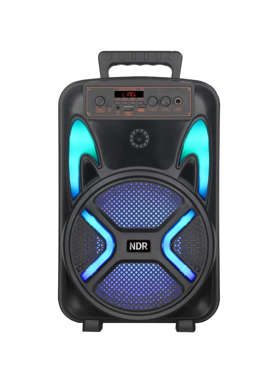 Ndr-P22 Single 8 “Bluetooth Speaker with Lde Lighting OEM