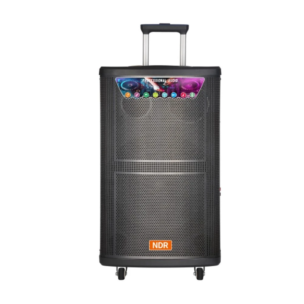 Ndr Single 12 Inch PA High Power PRO Audio Wireless Portable Bluetooth Trolley Party Wooden Speaker