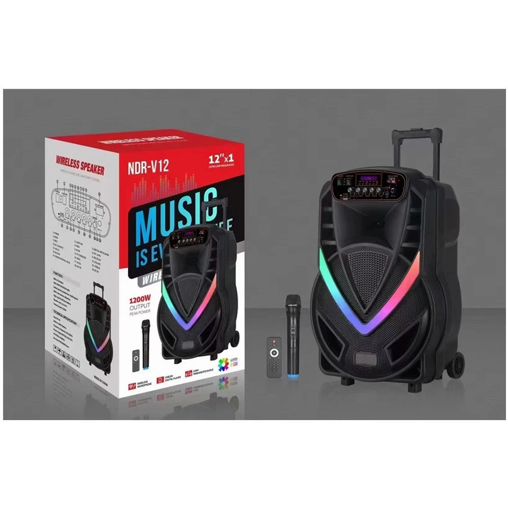 Ndr-V12 Single 12 “Karaoke Party Speaker with Built-in Battery