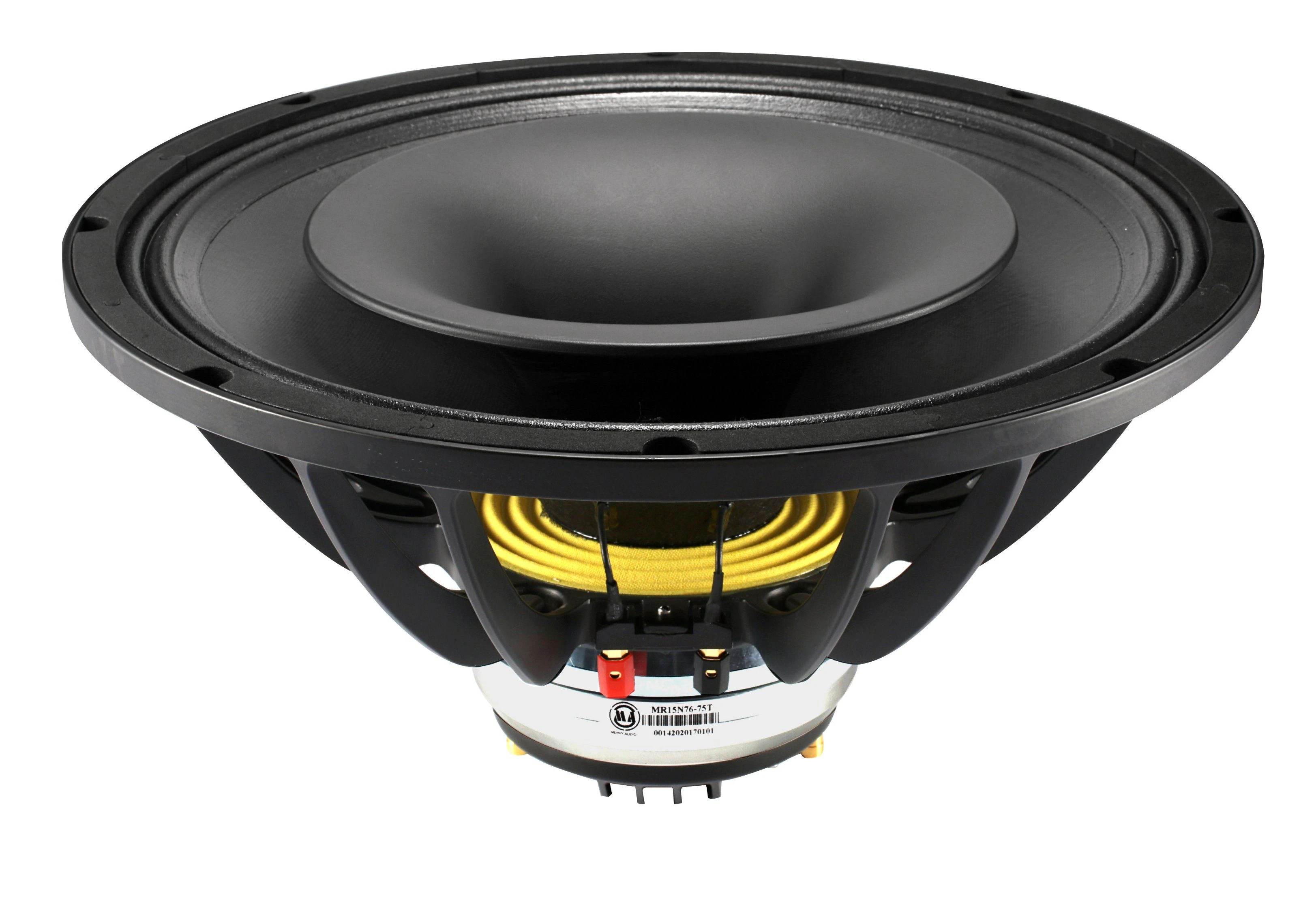 Neodymium 15 Inch Ferrite Coaxial Speaker 8 Ohms Dual