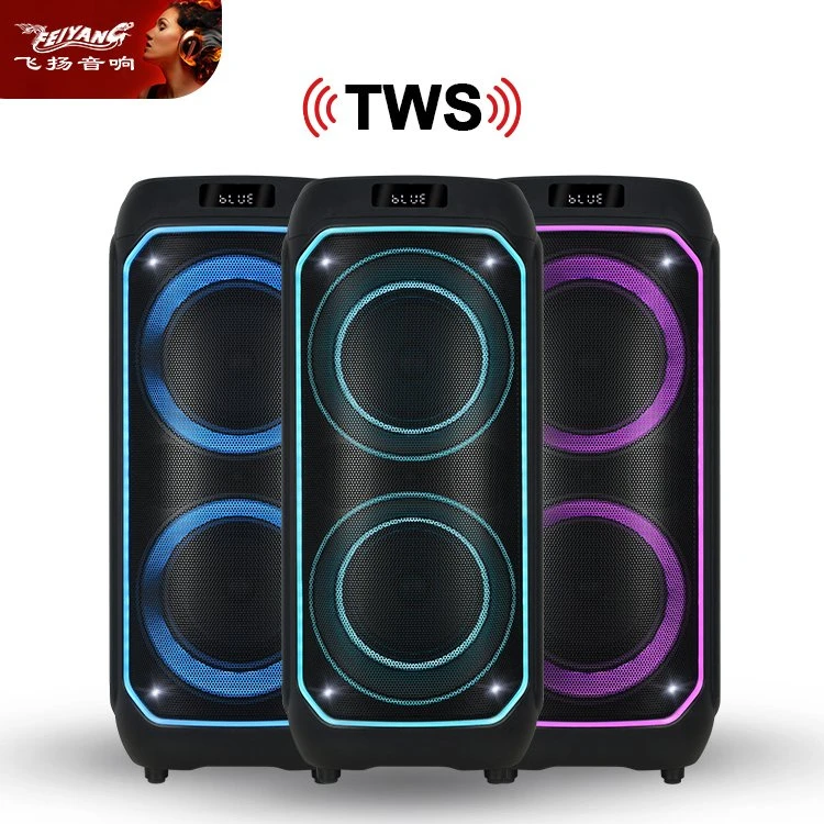 New Arrival OEM Bt Speaker Double 8 Inch Karaoke Party Box Speaker