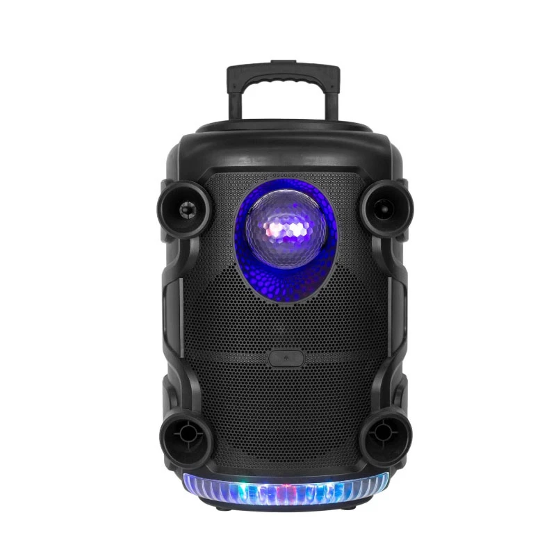 New Model 12 Inch Trolley Speaker with LED Light DJ Party Sound Box