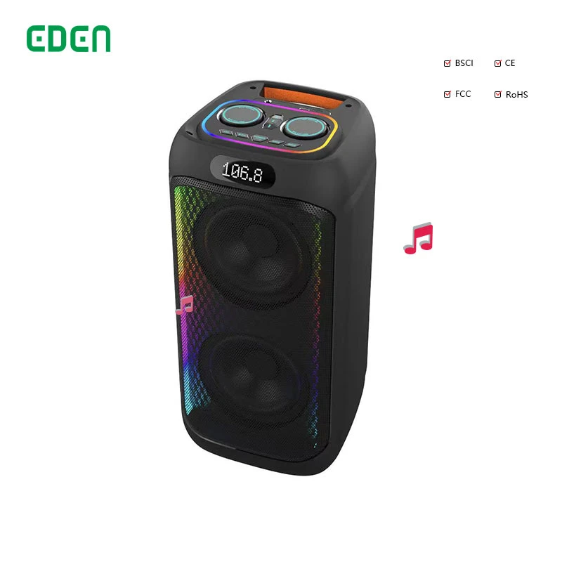 New Model Dual 6.5 Inch Professional Portable Bluetooth Music Speaker Portable Bluetooth Speaker with Microphone