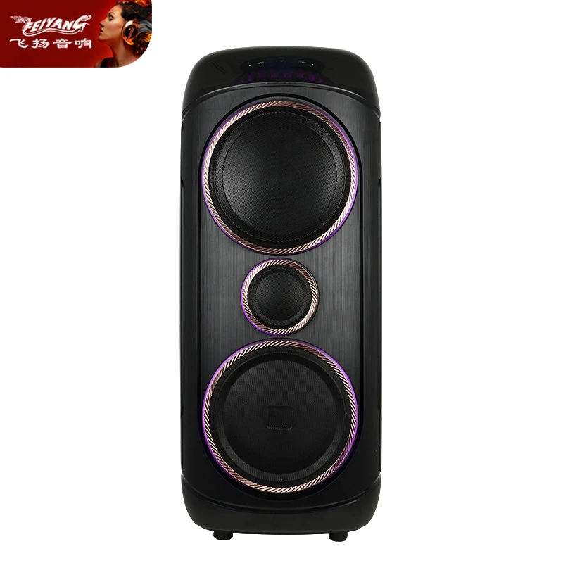 New Wireless Bt Party 8 Inch Rechargeable Battery 80W Speaker