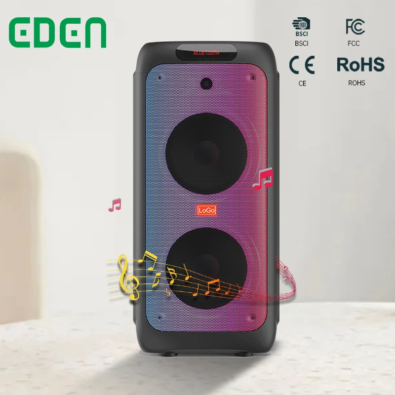 Newest Private Product Dual 8 Inch Passive DJ Box Loudspeaker System Portable Bluetooth Speakers with Fire Light