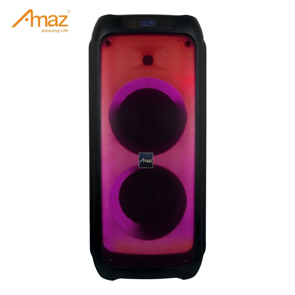 OEM Dual 8 Inch Outdoor Wireless Rechargeable Karaoke Party Box Speaker