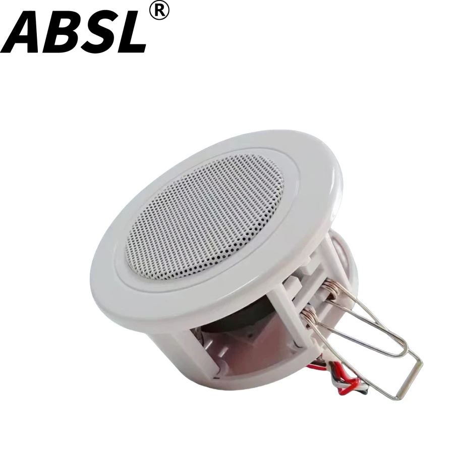 OEM Music Loud Speaker 1.5W-3W 3” Mini PA Ceiling Speaker for Iraq