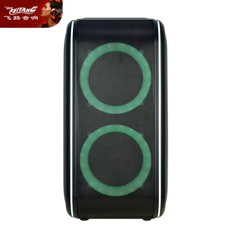 OEM New Promotion Party Dual 6.5″ Rechargeable Battery PA System Wireless Bluetooth Speaker