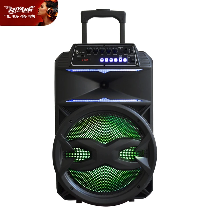 OEM PA System Multimedia Portable Loud DJ Speakers