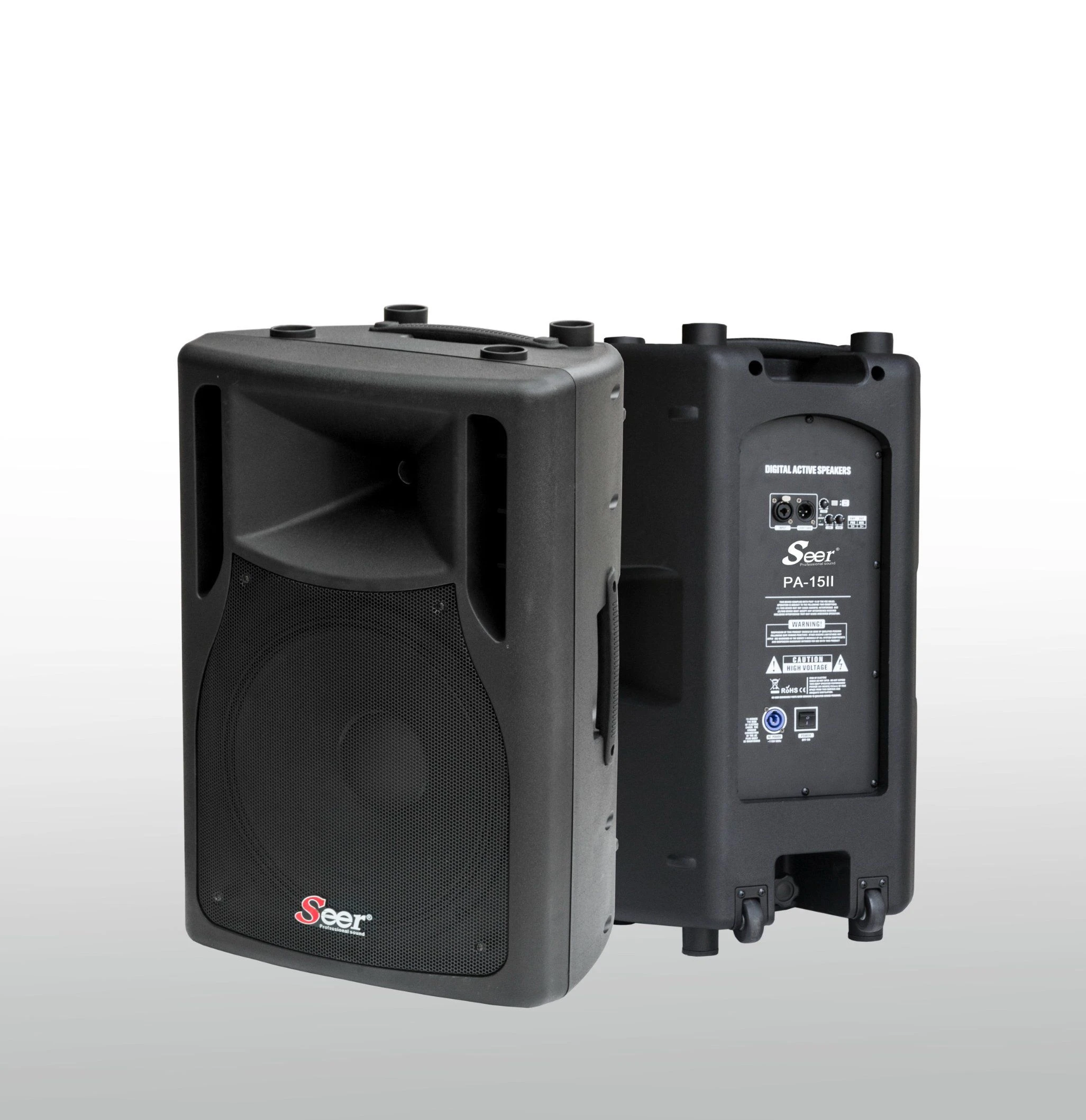 PA-12II Wholesale Audio Equipment 300W Low Frequency Professional Sound Stage Sound