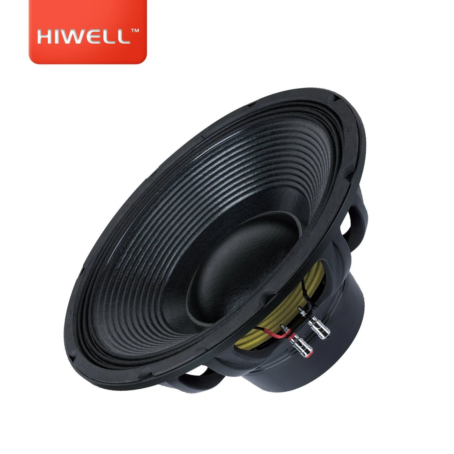 PA Loud Sound Hiwell 15 Inch Subwoofer