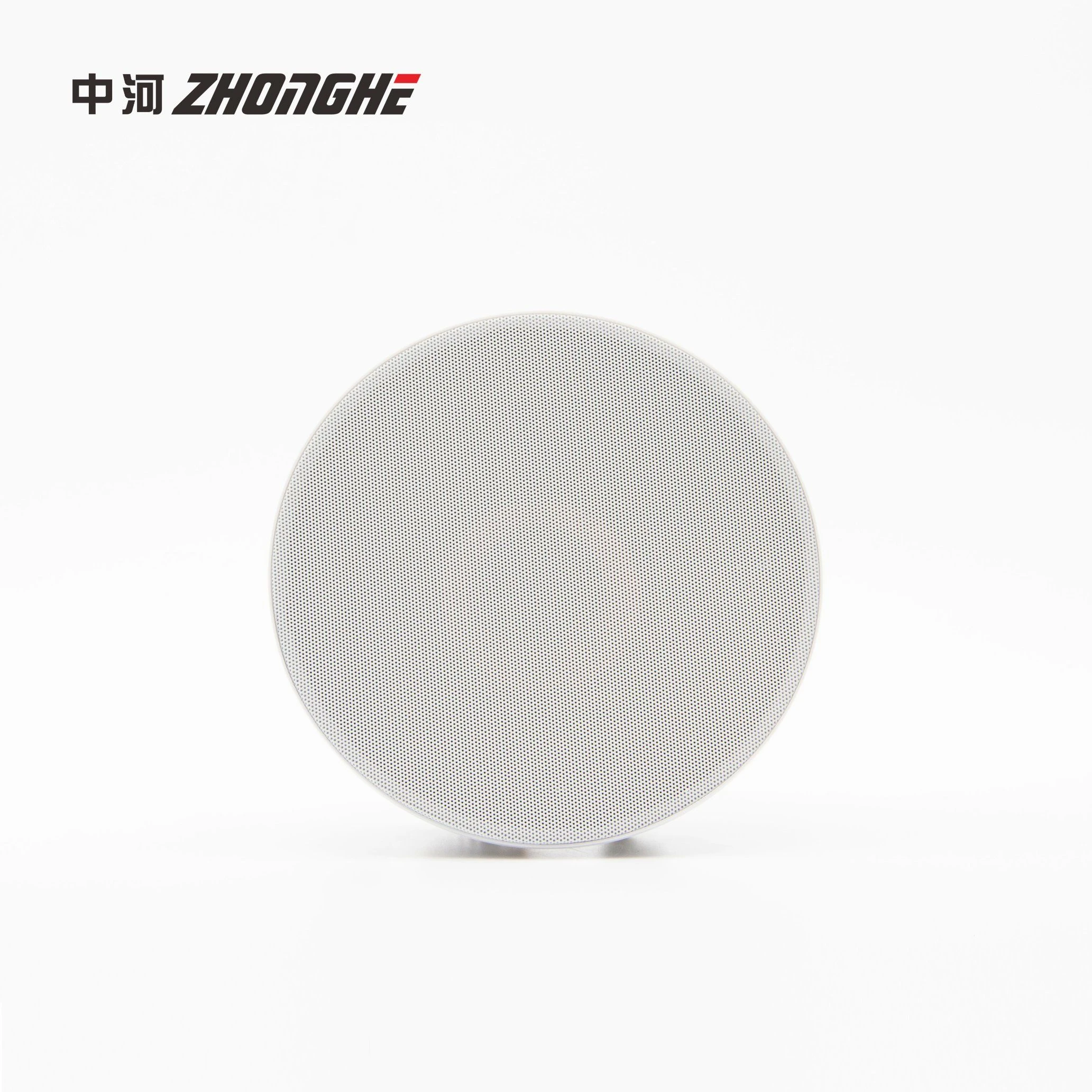 PA System High End 35W Passive Ceiling Speaker