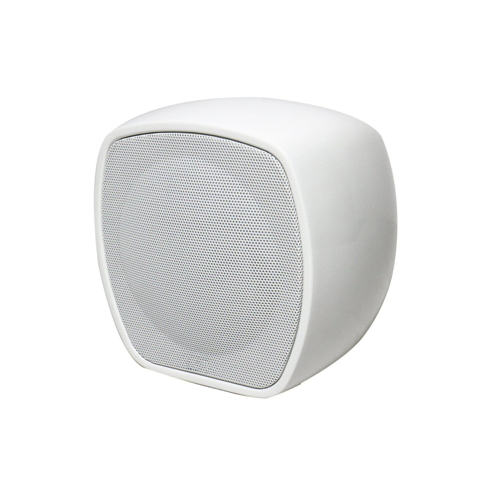 PRO Audio 100V 50W at 4 Ohm 2 Way Mini Full Range White/Black Professional Music Fiber Glass in Wall Mounted Loud Speaker for PA System and Bgm