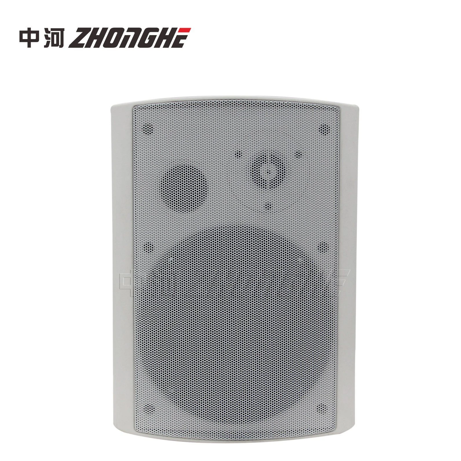 PRO Audio Professional Sound System 30W Wall Speaker
