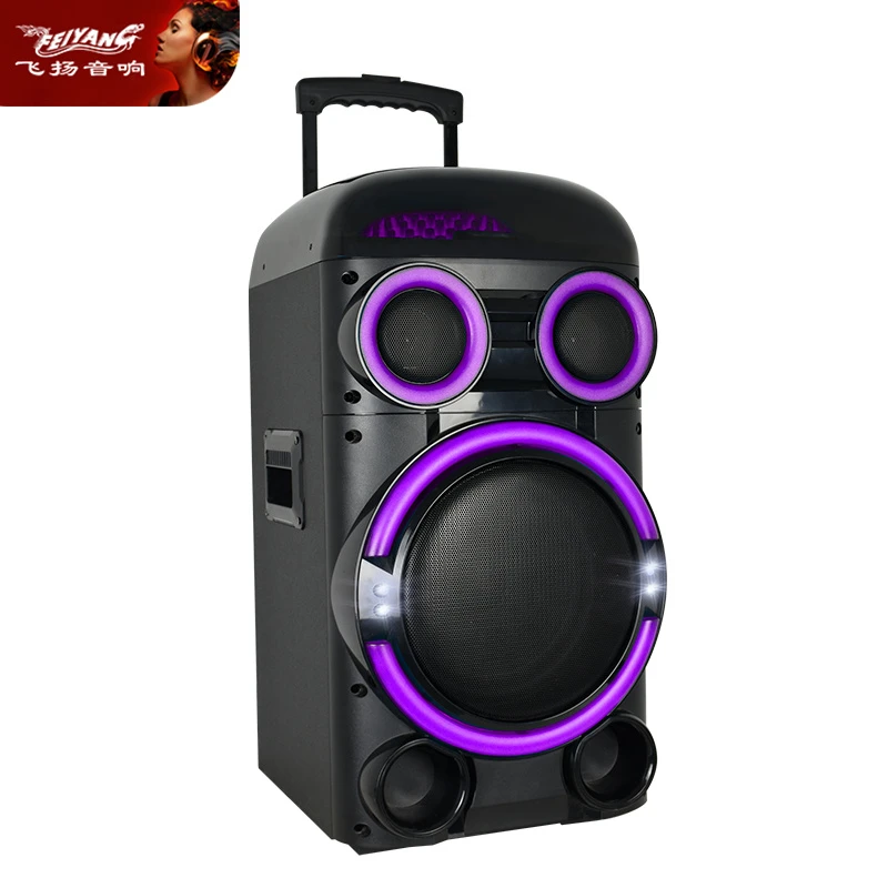 Party Single High Power Wooden Outdoor 10 Inch RGB Light Speaker