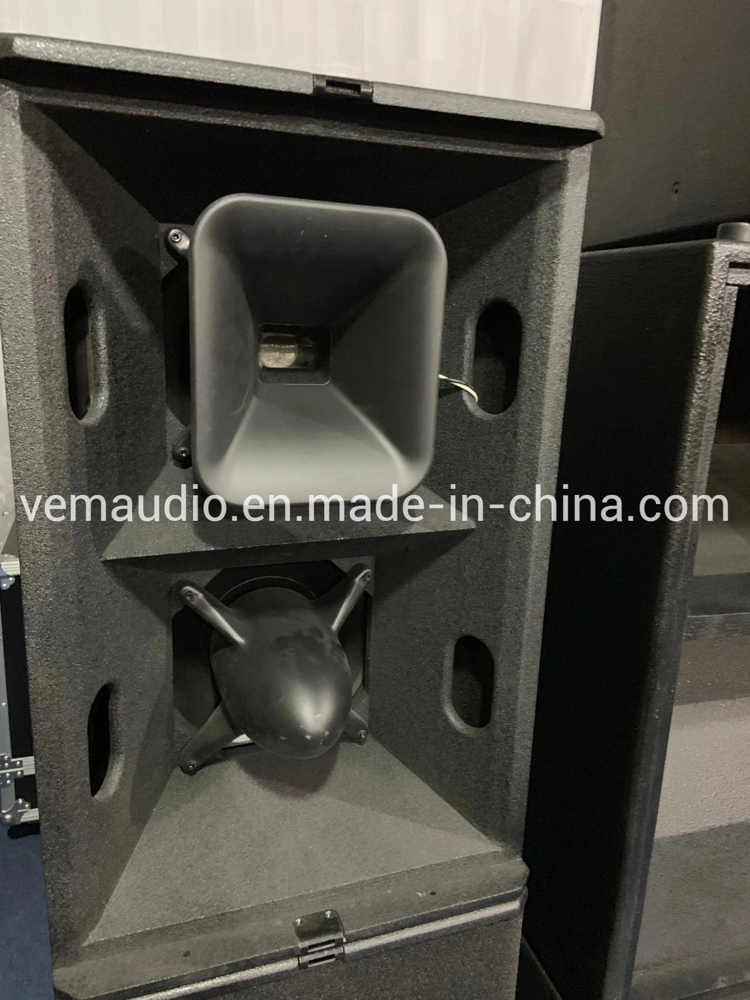 Popular Double 12inch PRO Audio Sound System (T24N)