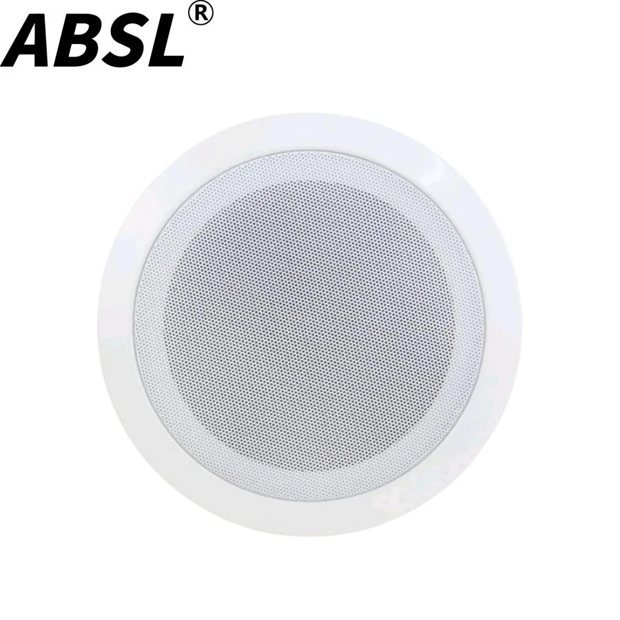 Popular Loud Speaker 3W 5” PA Ceiling Mount Speaker with Cheap Price